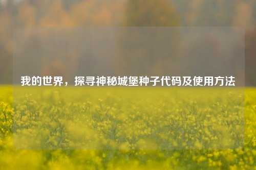 我的世界，探寻神秘城堡种子代码及使用方法