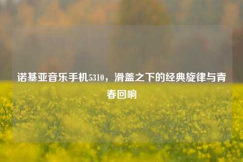 诺基亚音乐手机5310，滑盖之下的经典旋律与青春回响