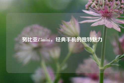 努比亚Z5mini，经典手机的独特魅力