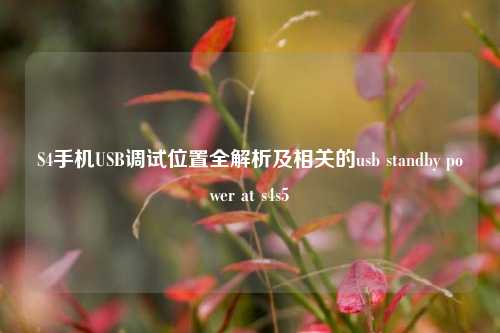 S4手机USB调试位置全解析及相关的usb standby power at s4s5