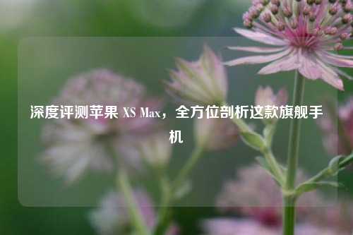 深度评测苹果 XS Max,全方位剖析这款旗舰手机