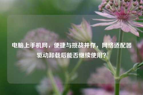 电脑上手机网，便捷与挑战并存，网络适配器驱动卸载后能否继续使用？