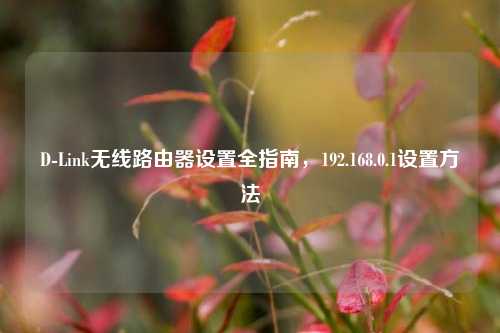 D-Link无线路由器设置全指南，192.168.0.1设置方法