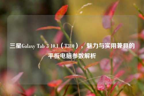 三星Galaxy Tab 3 10.1(T310),魅力与实用兼具的平板电脑参数解析