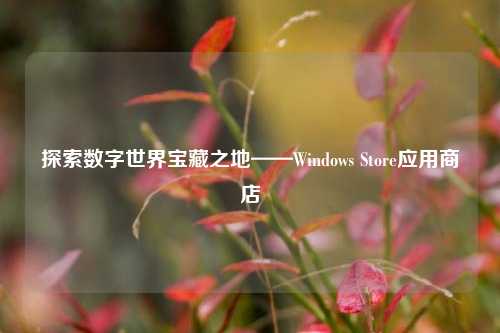 探索数字世界宝藏之地——Windows Store应用商店