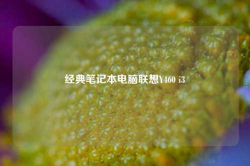 经典笔记本电脑联想Y460 i3