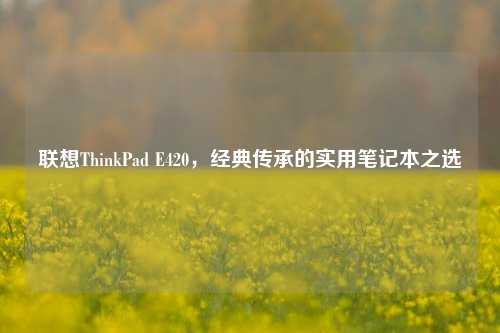 联想ThinkPad E420,经典传承的实用笔记本之选