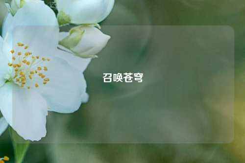 召唤苍穹