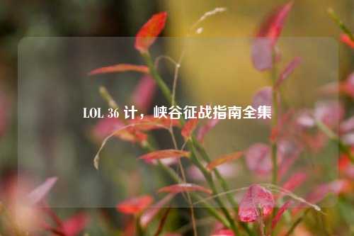 LOL 36 计,峡谷征战指南全集