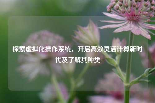 探索虚拟化操作系统，开启高效灵活计算新时代及了解其种类