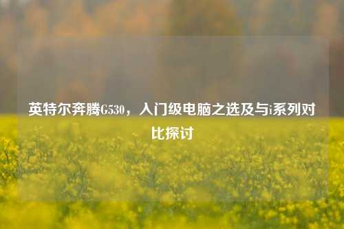 英特尔奔腾G530,入门级电脑之选及与i系列对比探讨