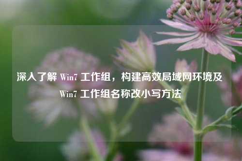 深入了解 Win7 工作组,构建高效局域网环境及 Win7 工作组名称改小写方法