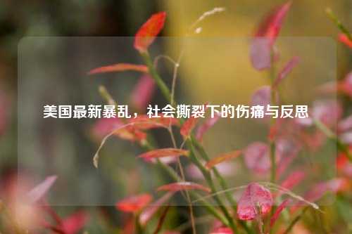 美国最新暴乱,社会撕裂下的伤痛与反思