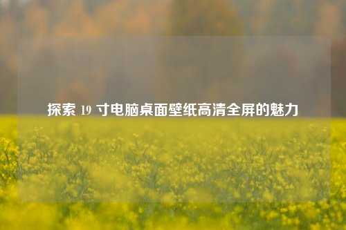 探索 19 寸电脑桌面壁纸高清全屏的魅力