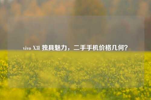 vivo X3l 独具魅力，二手手机价格几何？