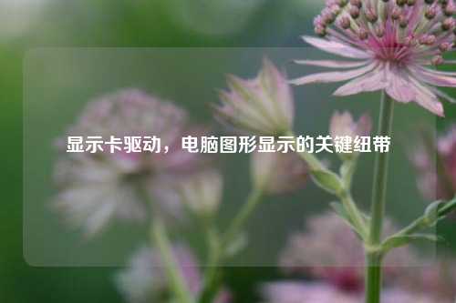 显示卡驱动，电脑图形显示的关键纽带