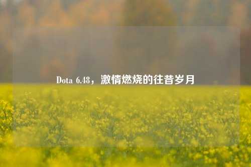Dota 6.48，激情燃烧的往昔岁月