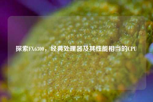 探索FX6300，经典处理器及其性能相当的CPU