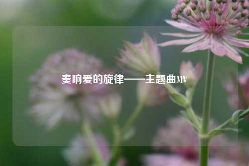 奏响爱的旋律——主题曲MV