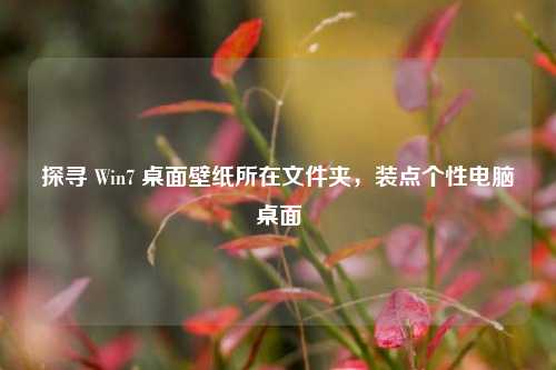 探寻 Win7 桌面壁纸所在文件夹，装点个性电脑桌面