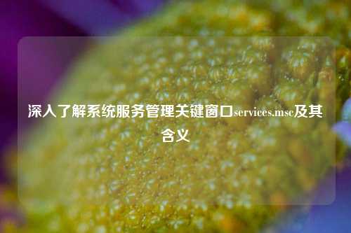 深入了解系统服务管理关键窗口services.msc及其含义