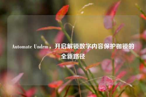 Automate Undrm，开启解锁数字内容保护枷锁的全新路径