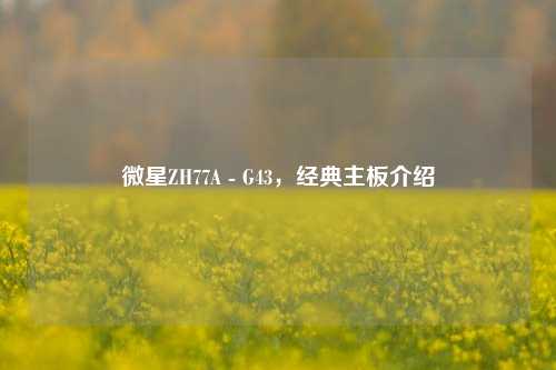 微星ZH77A - G43，经典主板介绍
