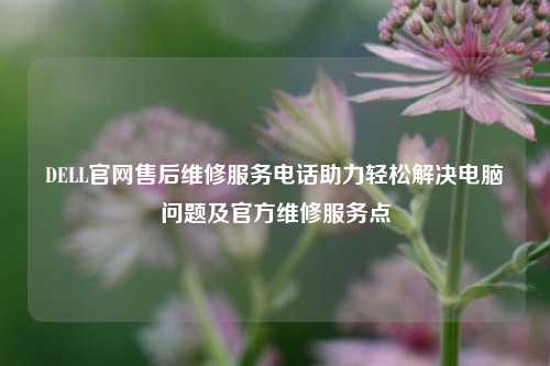 DELL官网售后维修服务电话助力轻松解决电脑问题及官方维修服务点