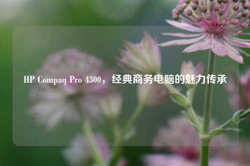 HP Compaq Pro 4300，经典商务电脑的魅力传承