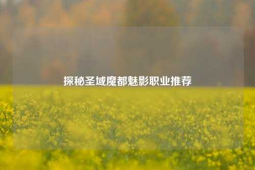 探秘圣域魔都魅影职业推荐