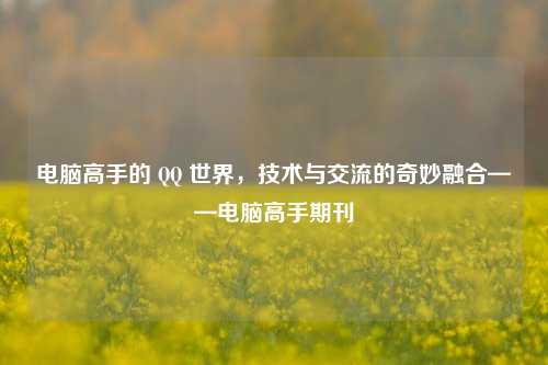 电脑高手的 QQ 世界,技术与交流的奇妙融合——电脑高手期刊
