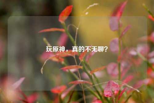 玩原神，真的不无聊？