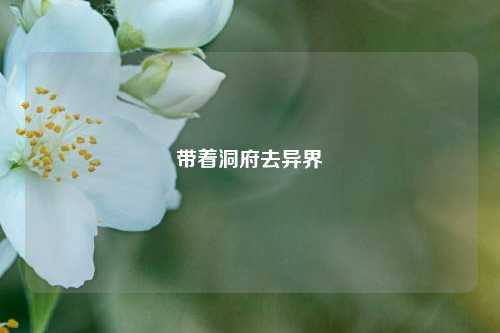 带着洞府去异界