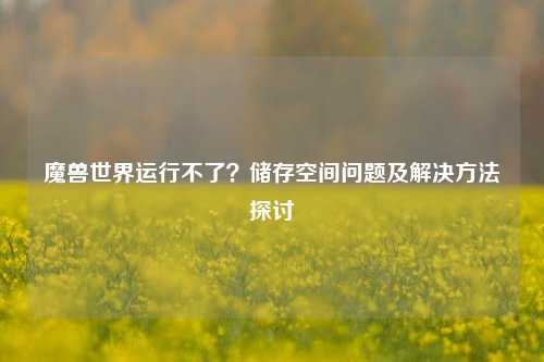 魔兽世界运行不了?储存空间问题及解决方法探讨