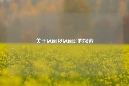 关于b9388及b938828的探索