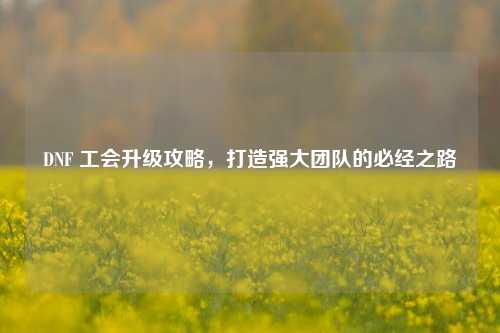 DNF 工会升级攻略，打造强大团队的必经之路