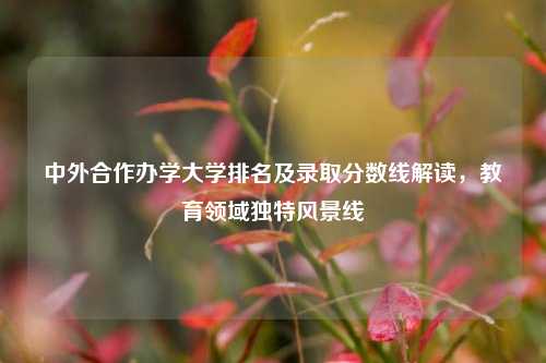 中外合作办学大学排名及录取分数线解读,教育领域独特风景线