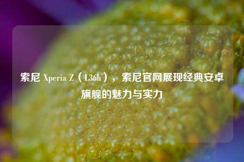 索尼 Xperia Z（L36h），索尼官网展现经典安卓旗舰的魅力与实力