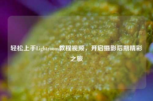 轻松上手Lightroom教程视频，开启摄影后期精彩之旅
