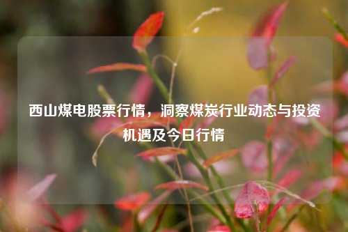 西山煤电股票行情，洞察煤炭行业动态与投资机遇及今日行情