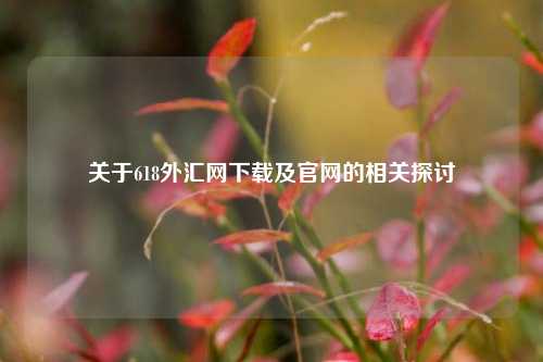 关于618外汇网下载及官网的相关探讨
