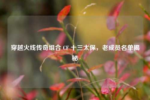 穿越火线传奇组合 CF 十三太保，老成员名单揭秘