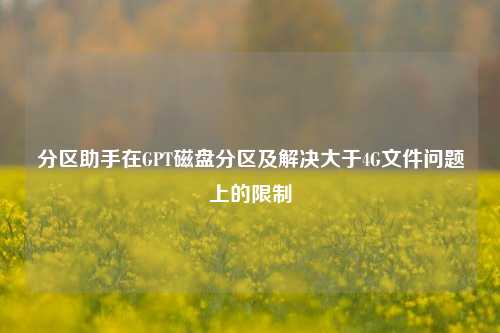 分区助手在GPT磁盘分区及解决大于4G文件问题上的限制
