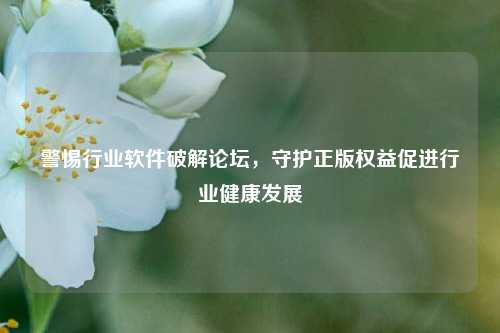 警惕行业软件破解论坛，守护正版权益促进行业健康发展