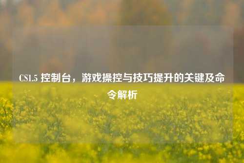 CS1.5 控制台，游戏操控与技巧提升的关键及命令解析