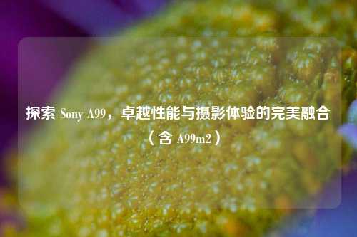 探索 Sony A99，卓越性能与摄影体验的完美融合（含 A99m2）