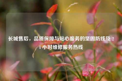 长城售后,品质保障与贴心服务的坚固防线及 24 小时维修服务热线