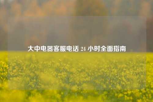 大中电器客服电话 24 小时全面指南