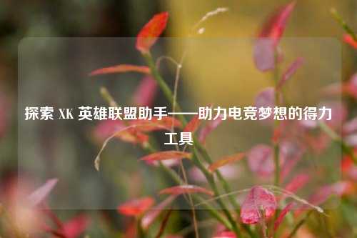 探索 XK 英雄联盟助手——助力电竞梦想的得力工具