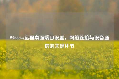 Windows远程桌面端口设置，网络连接与设备通信的关键环节